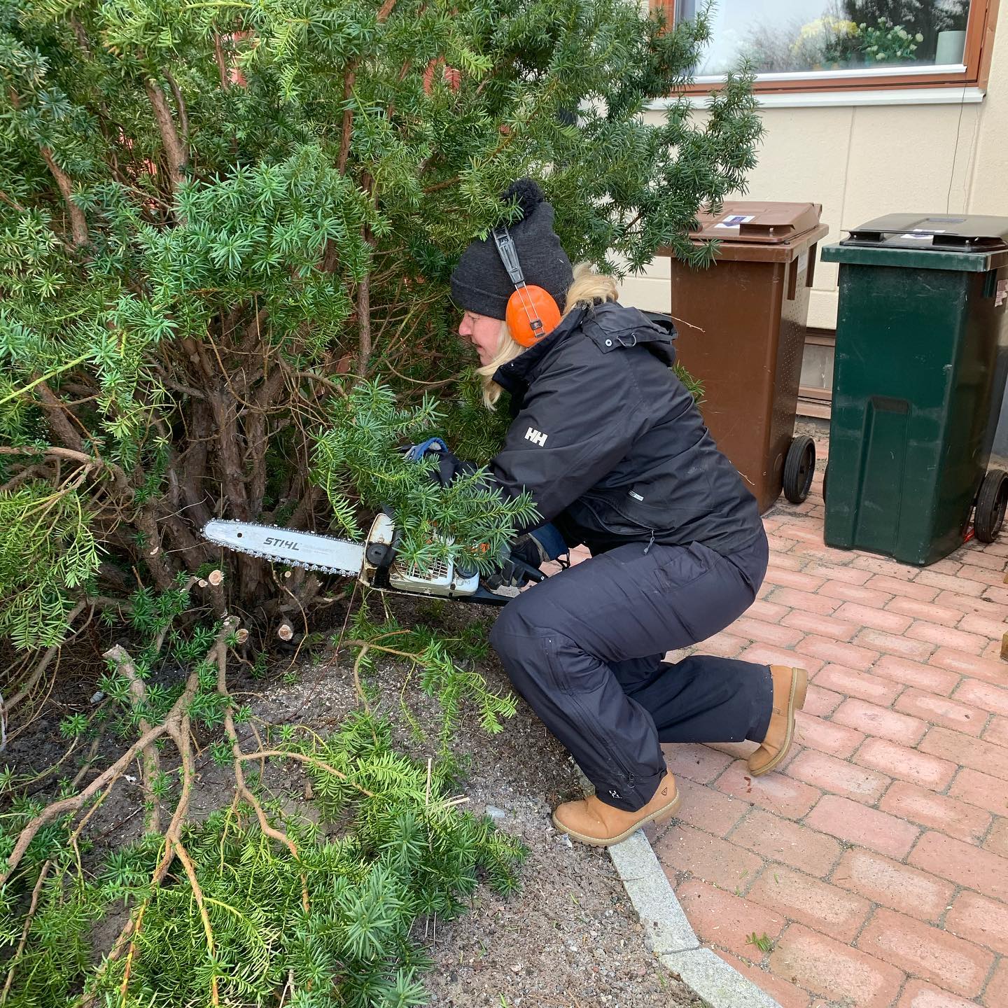 Innerträdgård på Söder