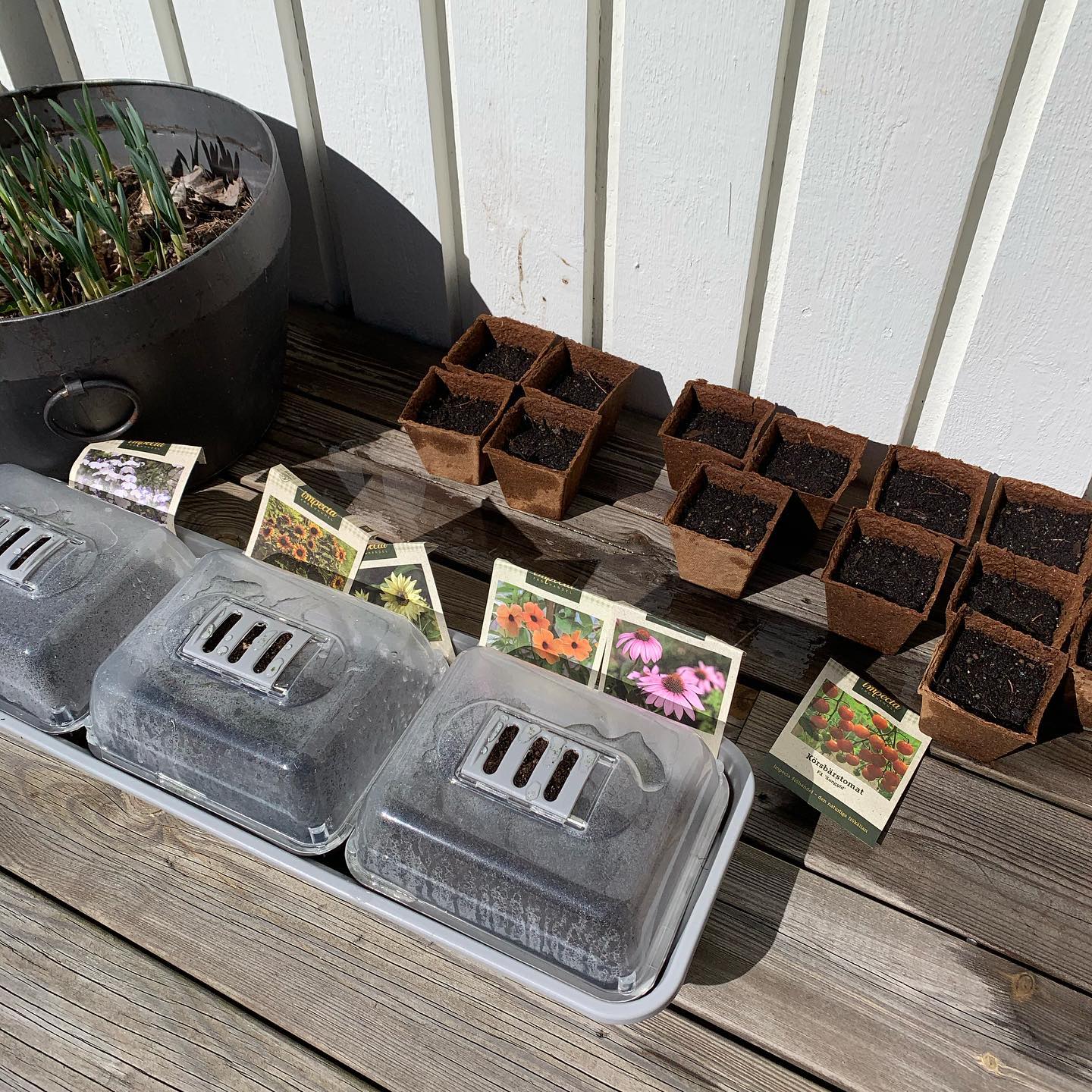 Tomt med utsikt i Svinninge