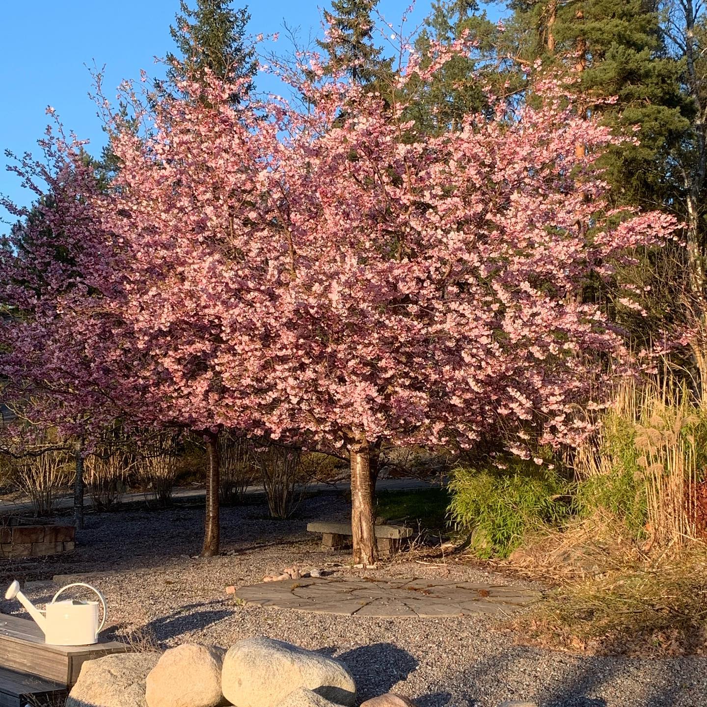 Parhus med sluttande tomt och en porlande bäck